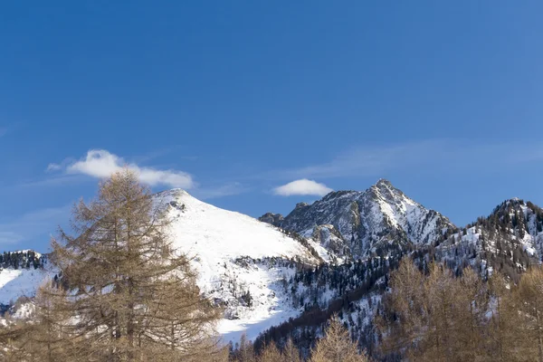 Paisaje alpino con montañas, árboles y nieve Imagen de stock