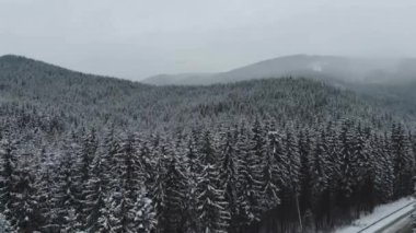 Dağlardaki karlı orman, en üst manzara..