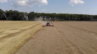 Hasat makinesinin üst görüntüsü buğday topluyor. Gıda endüstrisi kavramı.