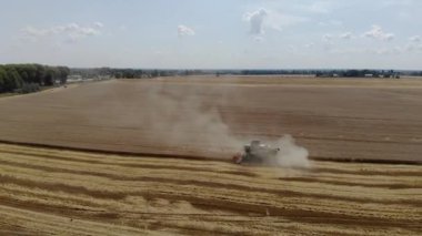 Hasat makinesinin üst görüntüsü buğday topluyor. Gıda endüstrisi kavramı.