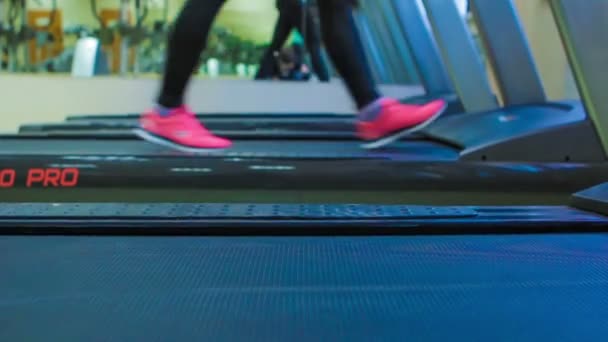 Cierre las piernas de las mujeres en zapatillas de deporte de color rosa en una cinta de correr. vista lateral — Vídeos de Stock