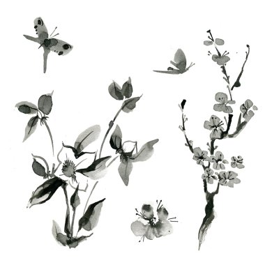 Şark bitkiler: sakura; kiraz; roseship