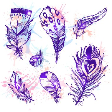 Elle çizilmiş kuş tüyleri 