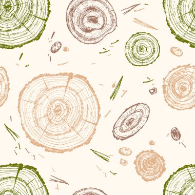wooden slices. Pine tree. pattern