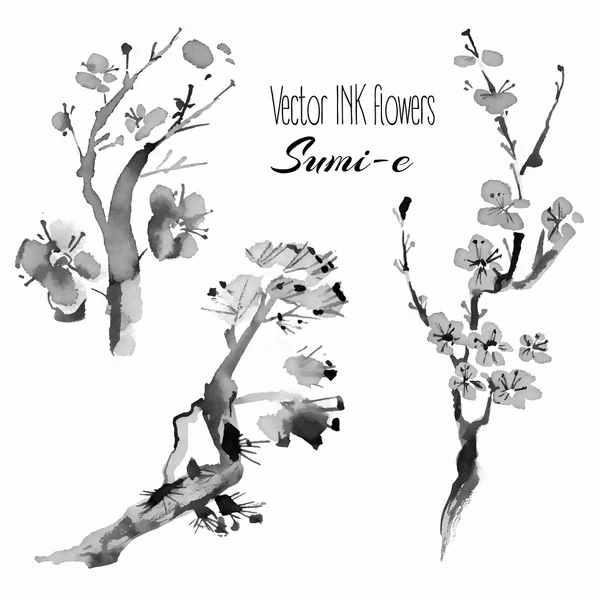 Växter: Pine Branch, Cherry, Sakura — Stock vektor