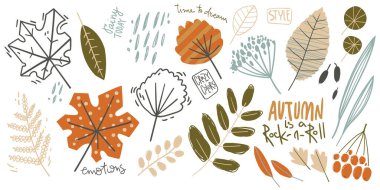 Sonbahar yaprakları, bitkiler ve böğürtlen koleksiyonu. El çizimi naif karalama tarzı.