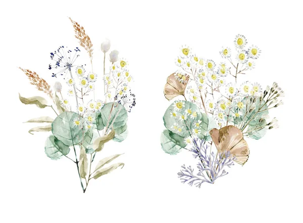 Aquarel Prachtige Herfstcomposities Decoratieve Elementen Met Kruiden Bladeren — Stockfoto