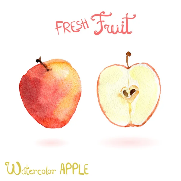 Φωτεινά ακουαρέλα φρούτα μήλο — Διανυσματικό Αρχείο