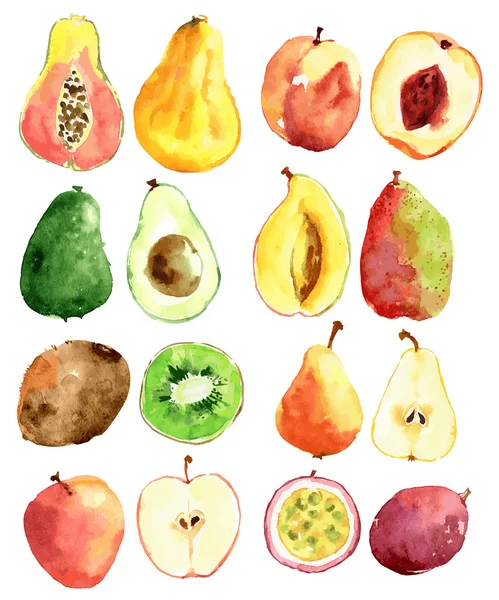 Frutos aquarela brilhantes — Vetor de Stock