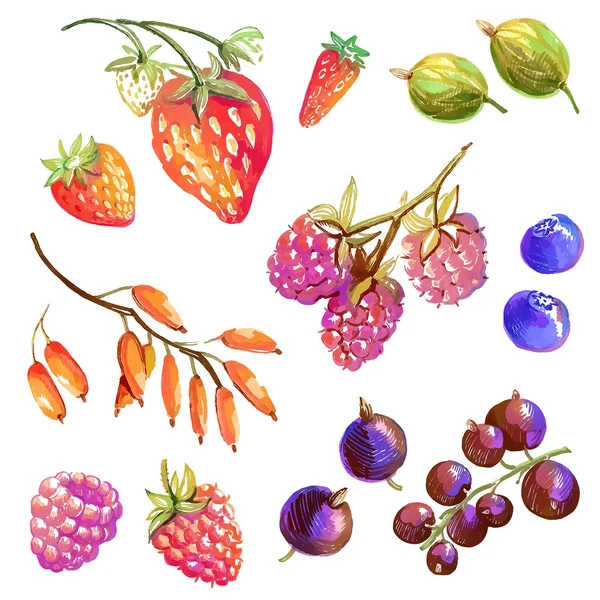 Коллекция с вкусными ягодами — стоковый вектор
