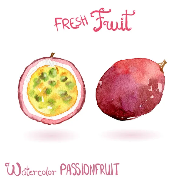 Fruta acuarela brillante fruta de la pasión — Vector de stock