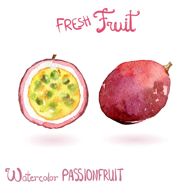 Fruta aquarela brilhante maracujá — Vetor de Stock