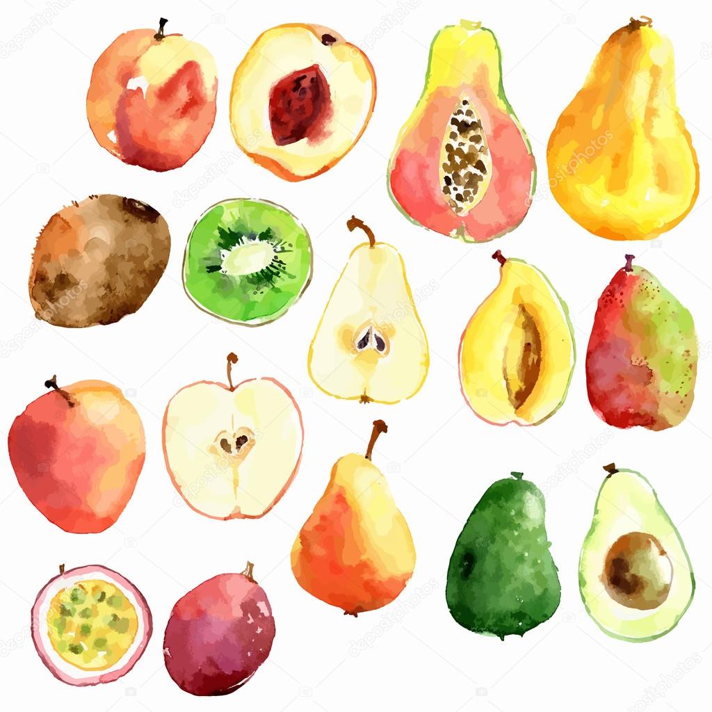 Bright  watercolor fruits: