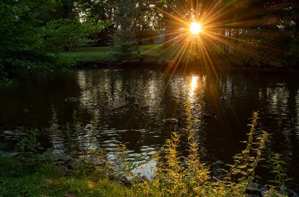 Über Dem Fluss Tief Zwischen Den Bäumen Zeigt Sich Die — Stockfoto