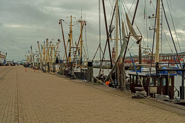 Fiskeflottan Den Gamla Fiskehamnen Cuxhaven — Stockfoto