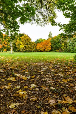 From the leaf-covered ground, the view opens to a wide park meadow with golden-yellow trees. The image captures the calm mood of a clear autumn day in vertical format and low perspective.