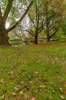 Captured in vertical format, this image shows a picturesque bridge scene by a calm river, where autumn trees and nearby buildings reflect in the wate  a serene composition full of balance and warmth.