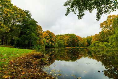 Yaprak kaplı bir yol boyunca boş bir bank dikey formatta, sonbaharın sakin ve renkli ruhunu taşır..