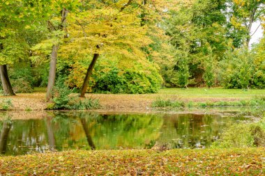 Yaprak kaplı bir yol boyunca boş bir bank dikey formatta, sonbaharın sakin ve renkli ruhunu taşır..