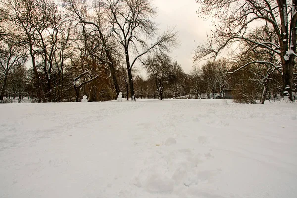 Karla kaplı park manzarası yolların ve çayırların sürekli kar altında birleştiği yer. Uzaktaki birkaç kardan adam kış sahnesine sakin ve neşeli aksanlar ekliyor..