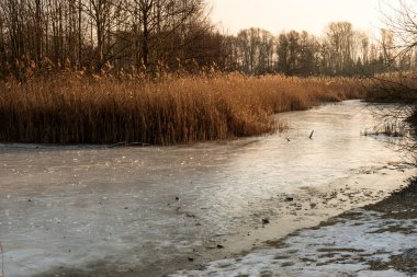 Sakin bir kış manzarasında yoğun sazlıklar ve çıplak ağaçlarla donmuş bir su kütlesi. Sıcak doğal tonlar, soğuk buz yüzeyleriyle tezat oluşturur. Sessizlik ve soğuğu yatay bileşimle iletir..
