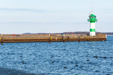 Baltık Denizi kıyısındaki girişi gösteren yeşil bir deniz feneri var. Çok sayıda su kuşu açık bir gökyüzünün altında hafif hareket eden kış denizinde yüzer..