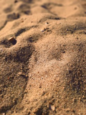 Kumsalda kum var. Kumsal kum dokusu. Sahilde yaz havası. Sarı kum.