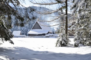 Düşen kar ile kış dağ manzarası