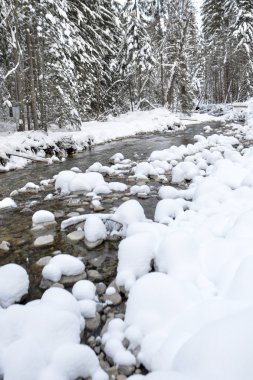 Düşen kar ile kış dağ manzarası