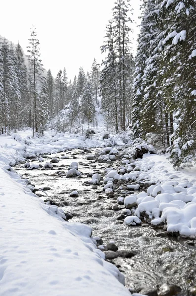 Invierno paisaje de montaña con nieve cayendo —  Fotos de Stock