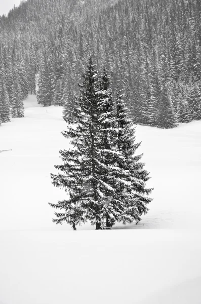Invierno paisaje de montaña con nieve cayendo —  Fotos de Stock