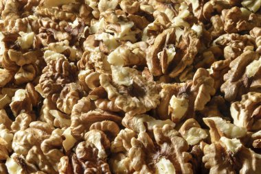 bir sürü kabuklu ceviz