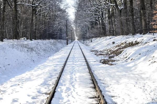 Tren yolu gösterilen kış manzarası