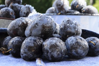 ev yapımı Erik reçeli