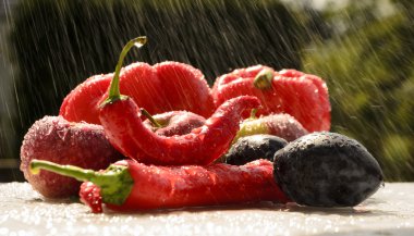 yaz yağmuru içinde kırmızı biber