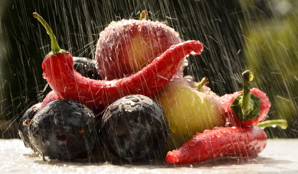 Красный перец в летний дождь — стоковое фото