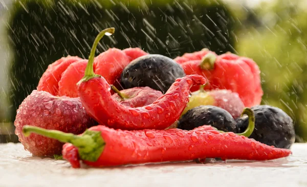 红辣椒在夏天的雨 — 图库照片