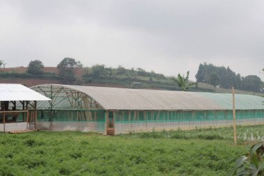 Sebze tohumu depolama evi