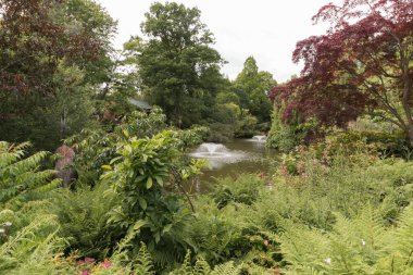 İngiltere 'de Shrewsbury' de bir park.