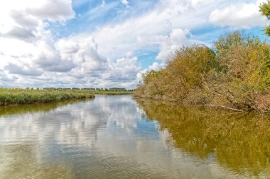 Hollanda 'da bir nehir manzarası.