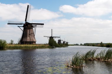 Hollanda 'daki Mills..
