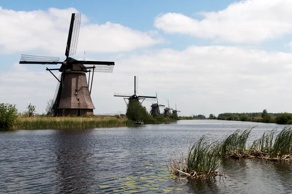 Mills Hollandiában. — Stock Fotó