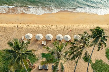 Sri Lanka 'da Hikkaduwa sahilinde bir manzara. Sri Lanka 'daki bir plajdan yüksek kaliteli fotoğraf..