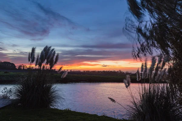 Hollanda 'nın güneyinde gün batımı. Yüksek kalite fotoğraf