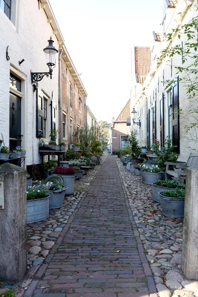 A street in the Netherlands. — Stock Photo, Image