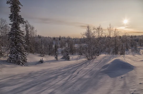 Winter tundra — Stock Photo, Image