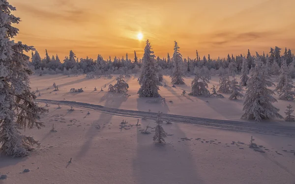 Tundra de inverno — Fotografia de Stock