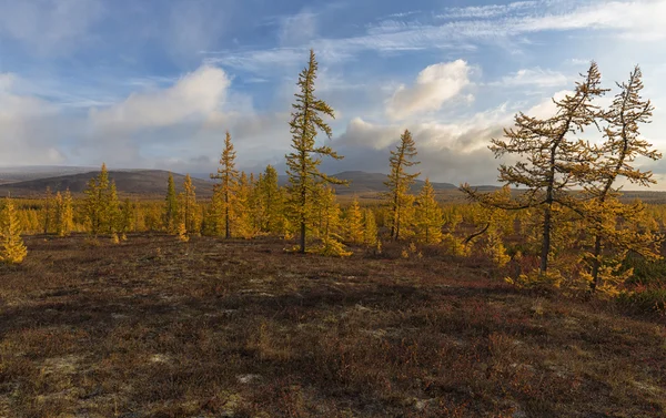 ポーラー ウラル山脈の秋 — ストック写真
