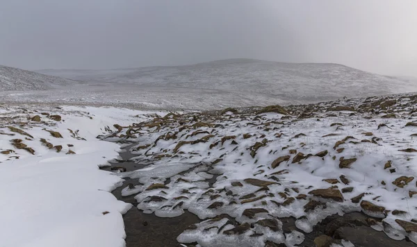 Polar Urallar sonbaharında — Stok fotoğraf