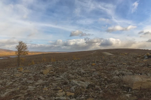 En el otoño de los Urales Polares — Foto de Stock